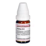 Cactus D12