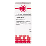 Thuja Lm Vi