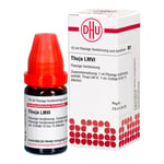 Thuja Lm Vi