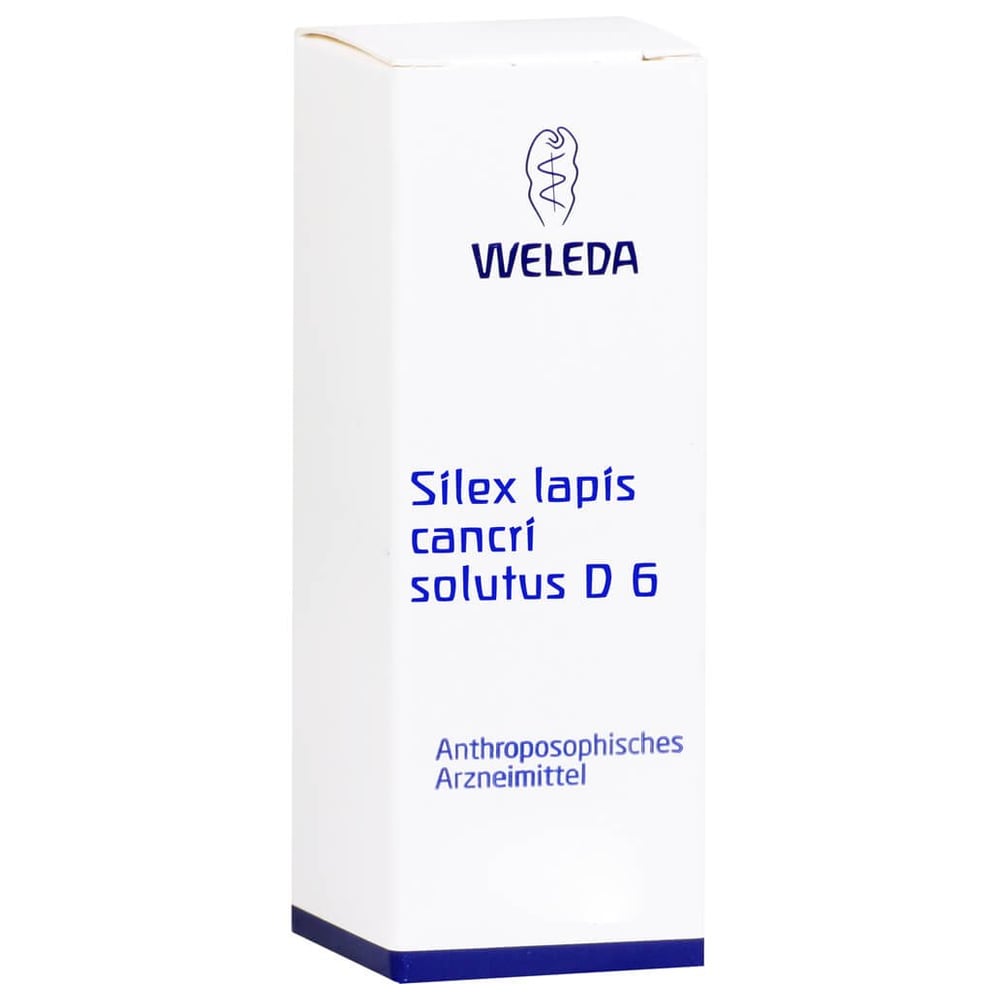 Silex Lapis Cancri solutus D 6