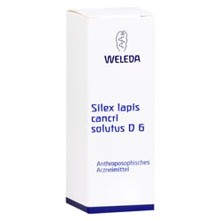 Silex Lapis Cancri solutus D 6