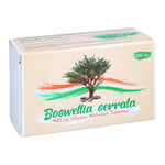 Boswellia serrata 400 mg Indischer Weihrauch Produktbild 1