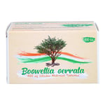 Boswellia serrata 400 mg Indischer Weihrauch Produktbild 2