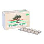 Boswellia serrata 400 mg Indischer Weihrauch Produktbild 3