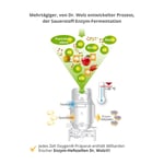 Zell Oxygen ZYM Anti-aging 14 Tage