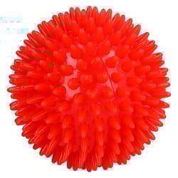 Massageigelball 9cm rot
