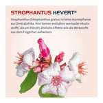 Strophanthus Hevert Tropfen
