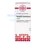 Syzygium Jambolanum D 4 Tabletten