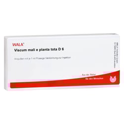 Viscum Mali e planta tota D 6 Ampullen