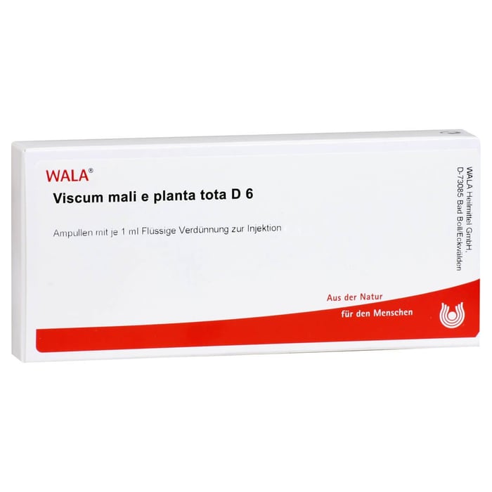 Viscum Mali e planta tota D 6 Ampullen