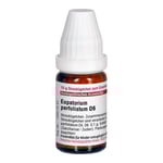 Eupatorium Perfoliatum D 6