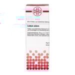 Ledum Extern Tinktur