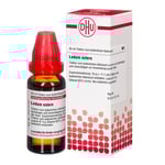 Ledum Extern Tinktur