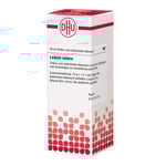 Ledum Extern Tinktur