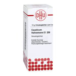 Causticum Hahnemanni D 200