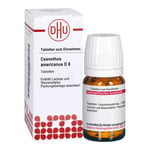 Ceanothus Americanus D 6 Tabletten