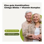 Ginkgo 100 mg Kaps + B1 C+E