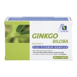 Ginkgo 100mg Kaps + B1 C+E