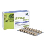 Ginkgo 100mg Kaps + B1 C+E