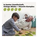 Ginkgo 100 mg Kaps + B1 C+E