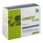 Ginkgo 100 mg Kaps + B1 C+E