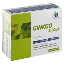 Ginkgo 100 mg Kaps + B1 C+E