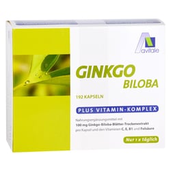 Ginkgo 100mg Kaps + B1 C+E
