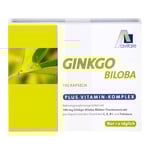 Ginkgo 100mg Kaps + B1 C+E