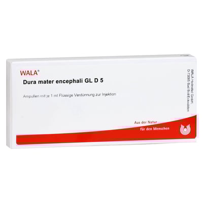 Dura Mater Encephal Gl D 5