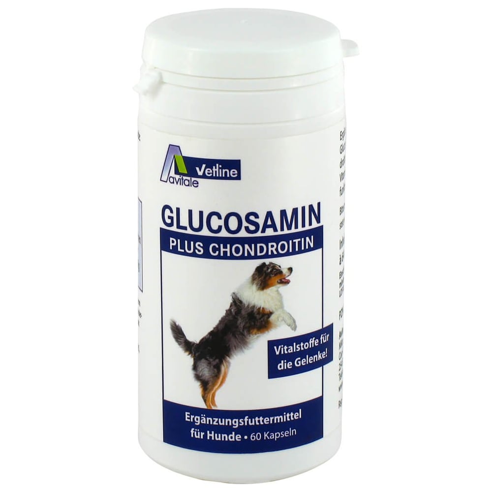 Glucosamin+chondroitin Kapseln für Hunde