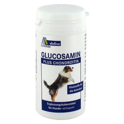 Glucosamin+chondroitin Kapseln für Hunde