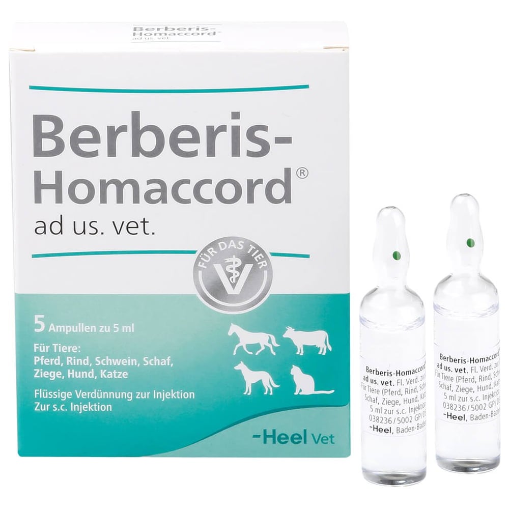 Berberis Homaccord Vet