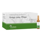 Ginkgo comp. Pflüger