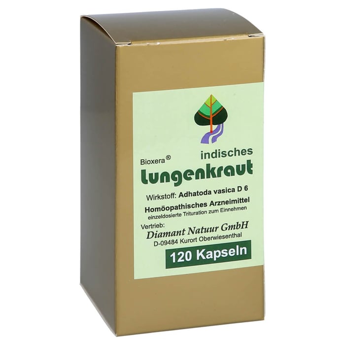 Lungenkraut indisches