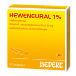 Heweneural 1% Amp