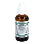 Gnaphalium Pentarkan Mischung