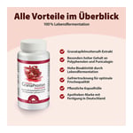 Dr. Jacob's GranaProstan Granatapfelsaft-Extrakt fermentiert Produktbild 3