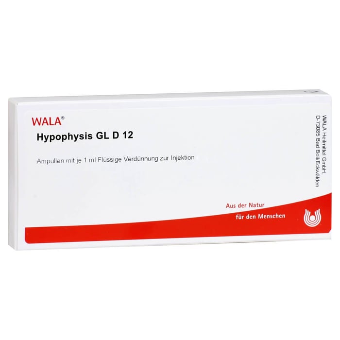 Hypophysis Gl D 12 Ampullen