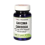 Garcinia cambogia 400 mg GPH Kapseln Produktbild 1