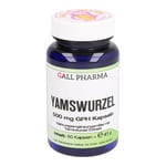 Yamswurzel 500 mg GPH Produktbild 1