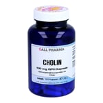 Cholin 100 mg GPH Produktbild 1