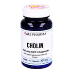 Cholin 100 mg GPH Produktbild 1