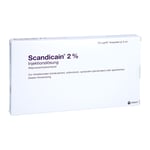 Scandicain 2% Luerfit