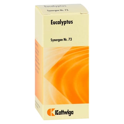 Synergon Komplex 73 Eucalyptus Tropfen