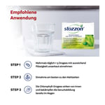 Stozzon Chlorophyll-Dragees gegen Mund- und Körpergeruch