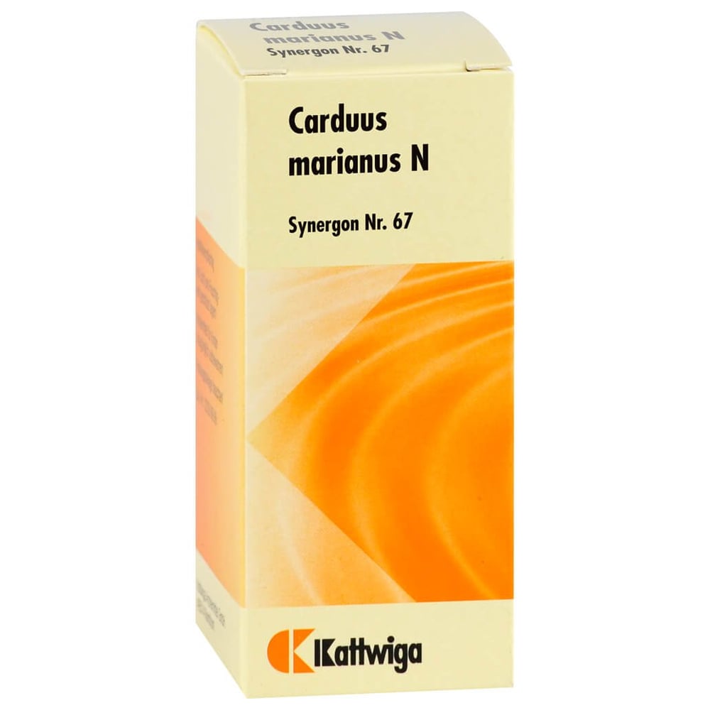 Synergon Komplex 67 Carduus marianus N Tropfen