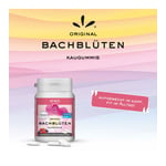 Energie Kaugummi nach Dr. Bach Produktbild 2