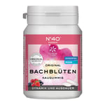 Energie Kaugummi nach Dr. Bach Produktbild 1