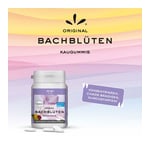 Konzentration Kaug Dr.bach Produktbild 2