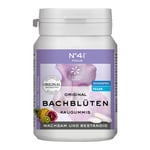 Konzentration Kaug Dr.bach Produktbild 1